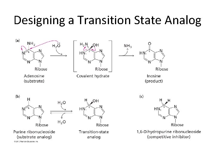 Designing a Transition State Analog 