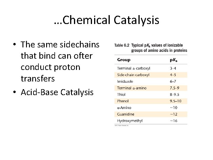 …Chemical Catalysis • The same sidechains that bind can ofter conduct proton transfers •