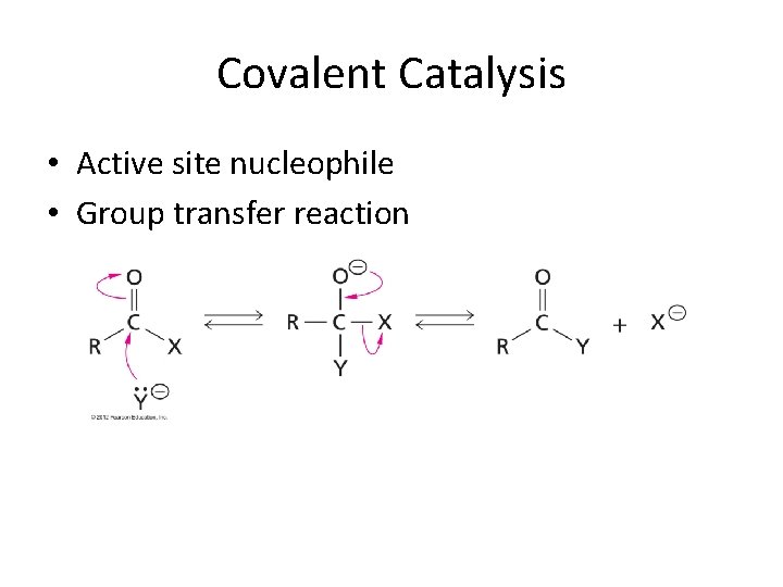 Covalent Catalysis • Active site nucleophile • Group transfer reaction 