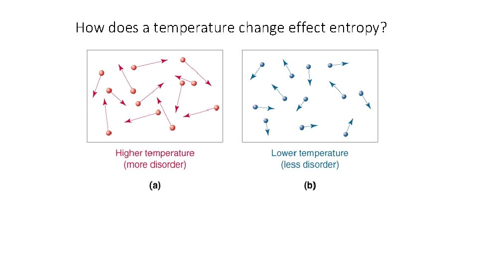 How does a temperature change effect entropy? 