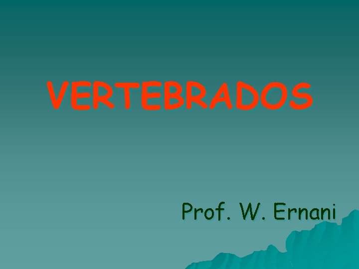 VERTEBRADOS Prof. W. Ernani 