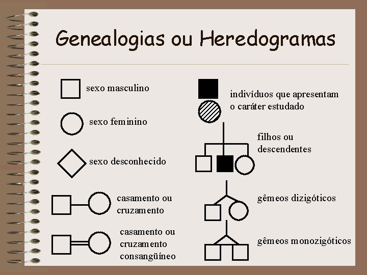 Genealogias ou Heredogramas sexo masculino indivíduos que apresentam o caráter estudado sexo feminino filhos