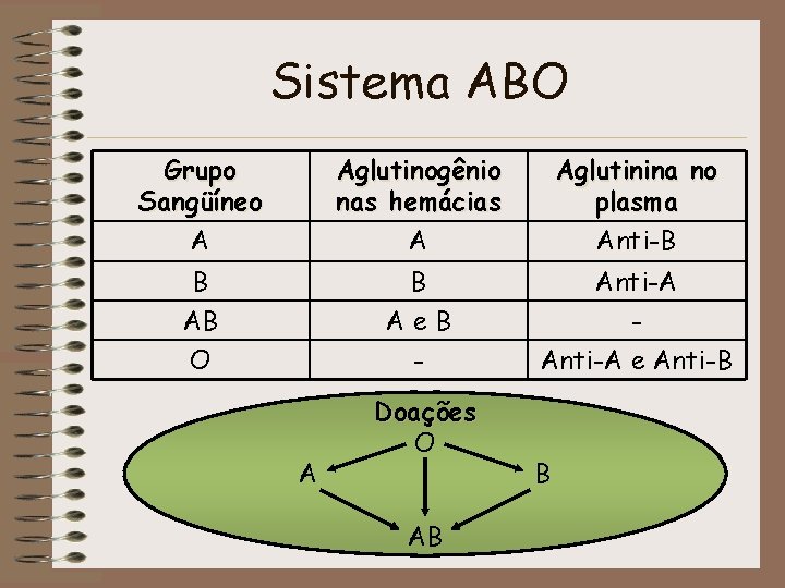 Sistema ABO Grupo Sangüíneo A Aglutinogênio nas hemácias A Aglutinina no plasma Anti-B B