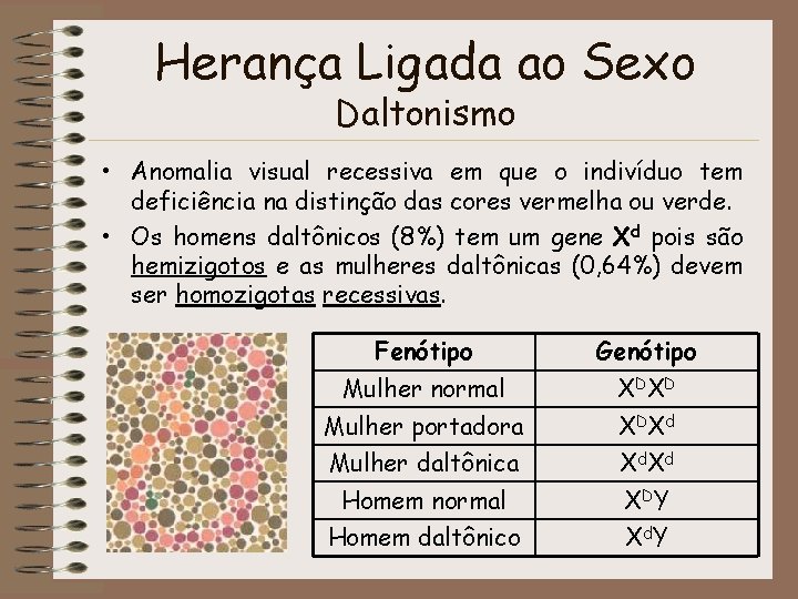 Herança Ligada ao Sexo Daltonismo • Anomalia visual recessiva em que o indivíduo tem