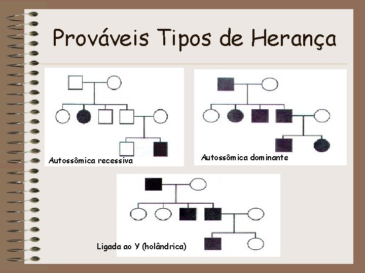 Prováveis Tipos de Herança Autossômica recessiva Ligada ao Y (holândrica) Autossômica dominante 