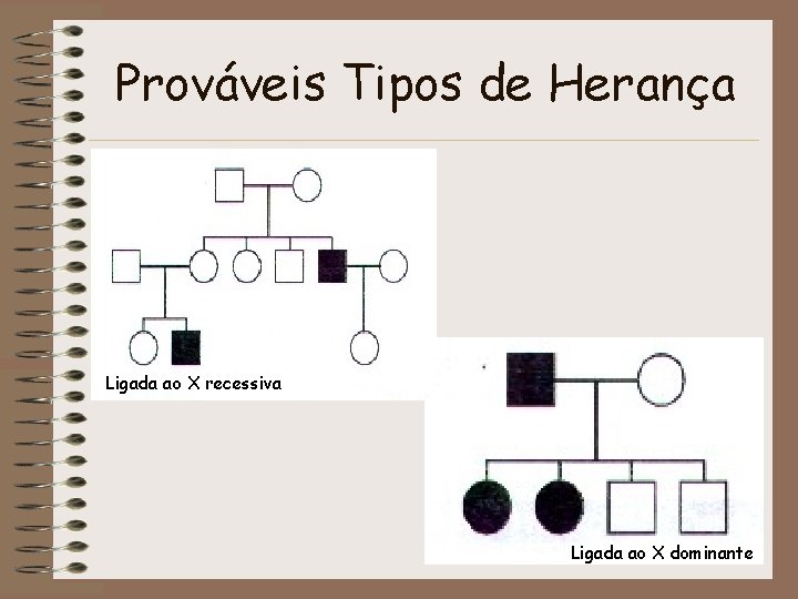 Prováveis Tipos de Herança Ligada ao X recessiva Ligada ao X dominante 