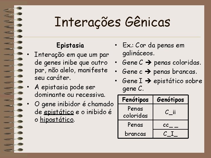 Interações Gênicas Epistasia • • Interação em que um par de genes inibe que