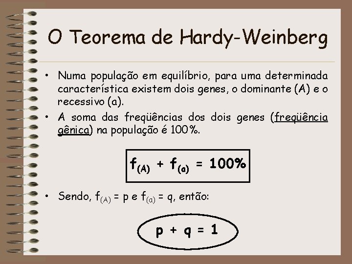 O Teorema de Hardy-Weinberg • Numa população em equilíbrio, para uma determinada característica existem