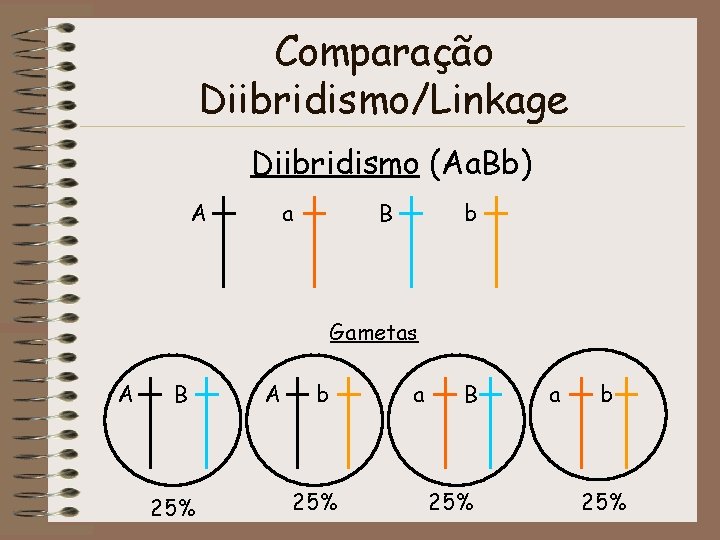Comparação Diibridismo/Linkage Diibridismo (Aa. Bb) A a B b Gametas A B 25% A