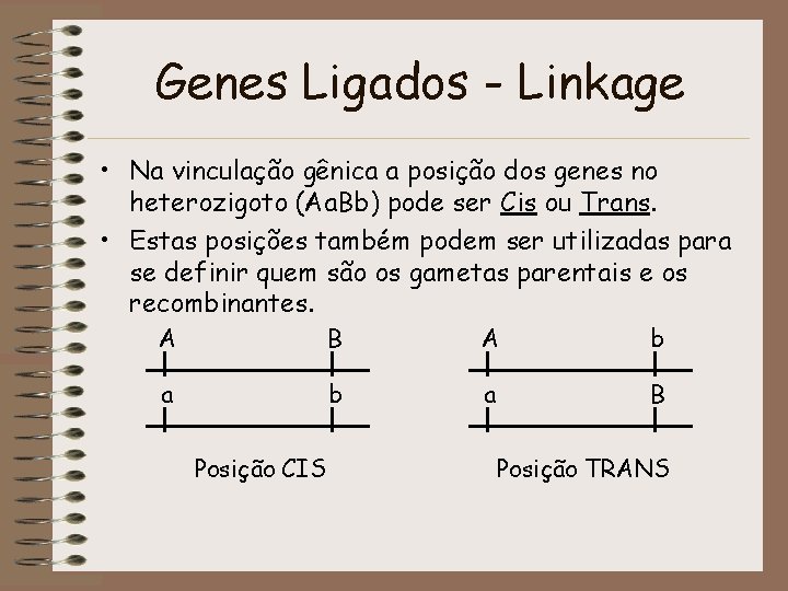 Genes Ligados - Linkage • Na vinculação gênica a posição dos genes no heterozigoto