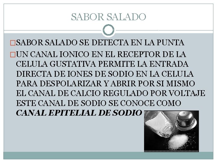 SABOR SALADO �SABOR SALADO SE DETECTA EN LA PUNTA �UN CANAL IONICO EN EL