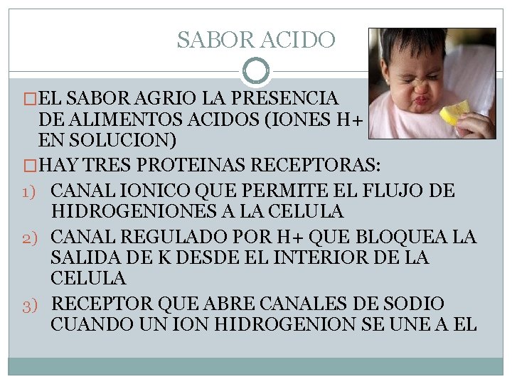 SABOR ACIDO �EL SABOR AGRIO LA PRESENCIA DE ALIMENTOS ACIDOS (IONES H+ EN SOLUCION)