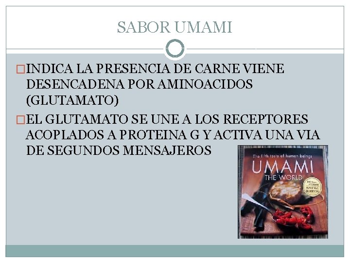 SABOR UMAMI �INDICA LA PRESENCIA DE CARNE VIENE DESENCADENA POR AMINOACIDOS (GLUTAMATO) �EL GLUTAMATO