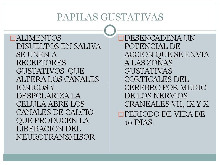 PAPILAS GUSTATIVAS �ALIMENTOS DISUELTOS EN SALIVA SE UNEN A RECEPTORES GUSTATIVOS QUE ALTERA LOS