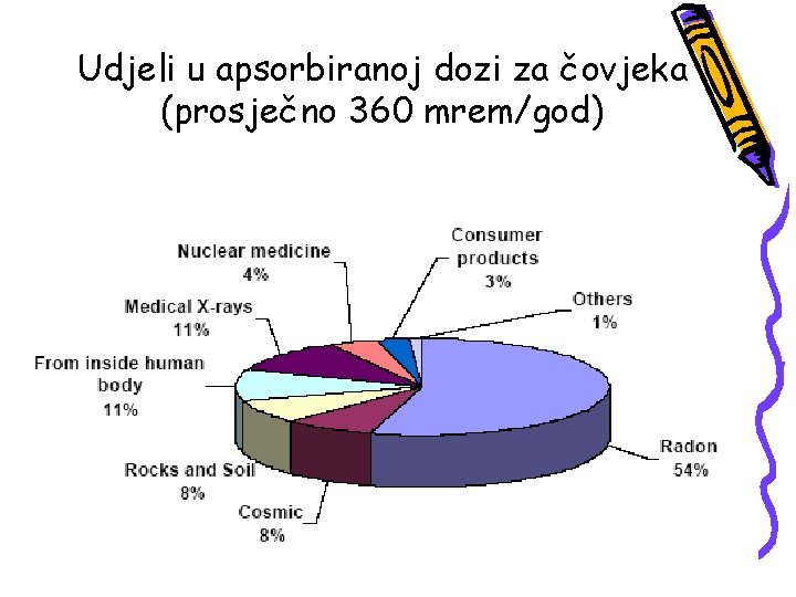Udjeli u apsorbiranoj dozi za čovjeka (prosječno 360 mrem/god) Udjeli u apsorbiranoj dozi za čovjeka (prosječno 360 mrem/god)