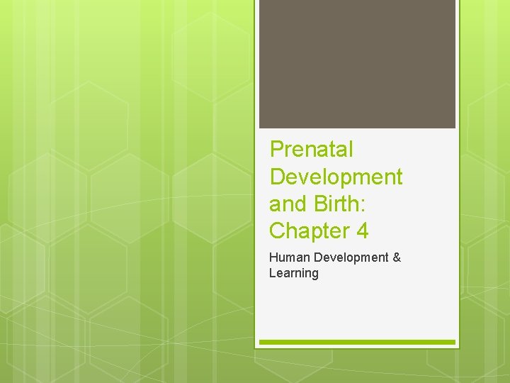 Prenatal Development and Birth: Chapter 4 Human Development & Learning 
