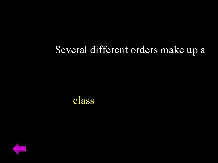 Several different orders make up a class 