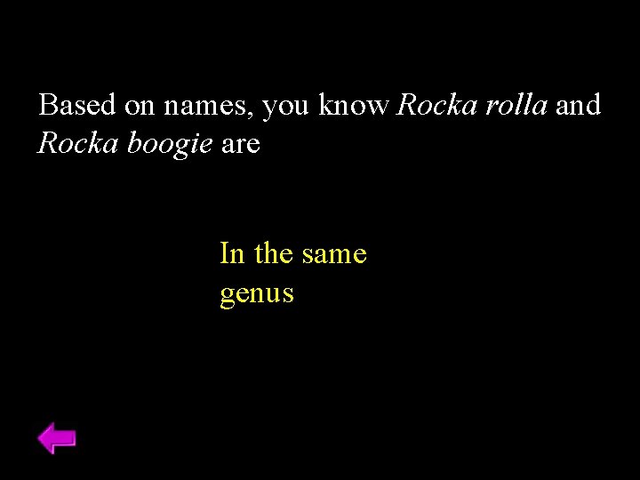 Based on names, you know Rocka rolla and Rocka boogie are In the same