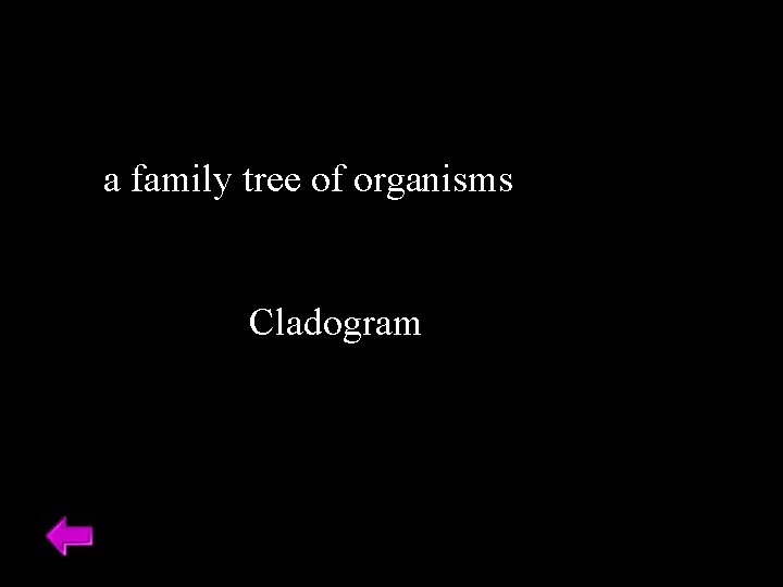 a family tree of organisms Cladogram 