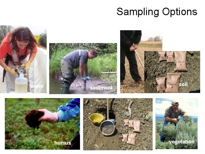 Sampling Options water sediment humus soil vegetation Sampling Options water sediment humus soil vegetation