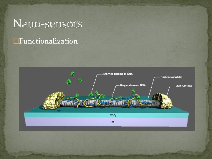 Nano-sensors �Functionalization 