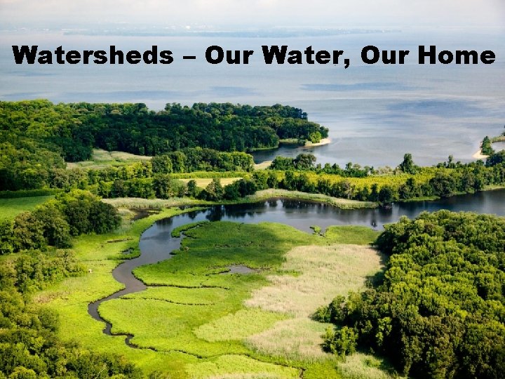 Watersheds – Our Water, Our Home 