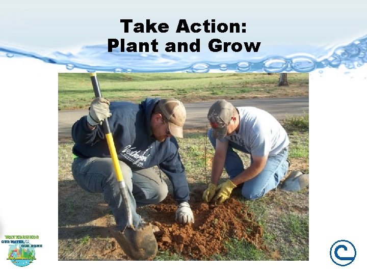Take Action: Plant and Grow 