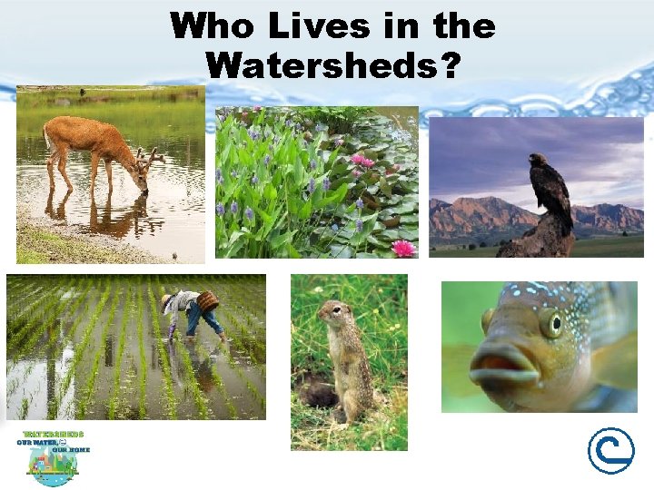 Who Lives in the Watersheds? 