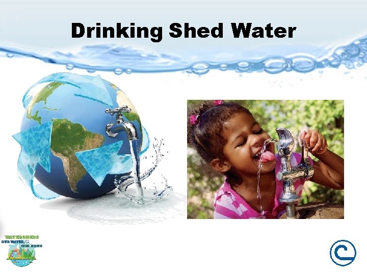 Drinking Shed Water 
