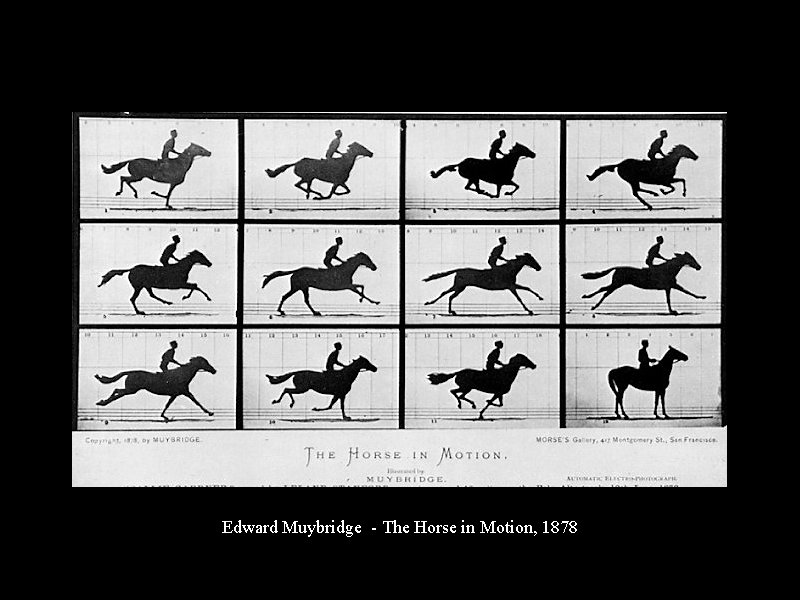Edward Muybridge - The Horse in Motion, 1878 