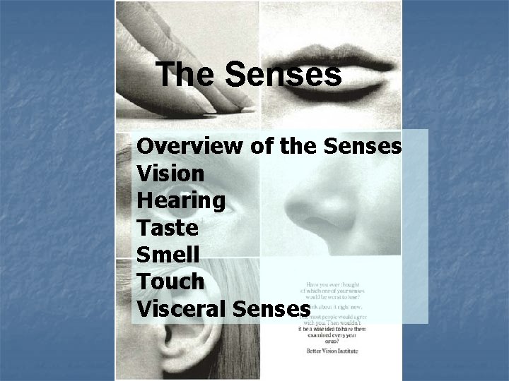 The Senses Overview of the Senses Vision Hearing Taste Smell Touch Visceral Senses 