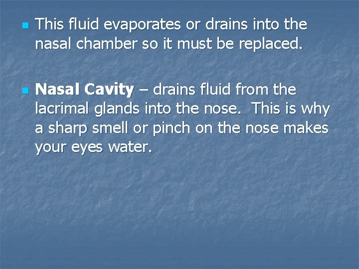 n n This fluid evaporates or drains into the nasal chamber so it must