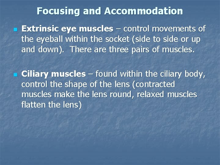 Focusing and Accommodation n n Extrinsic eye muscles – control movements of the eyeball