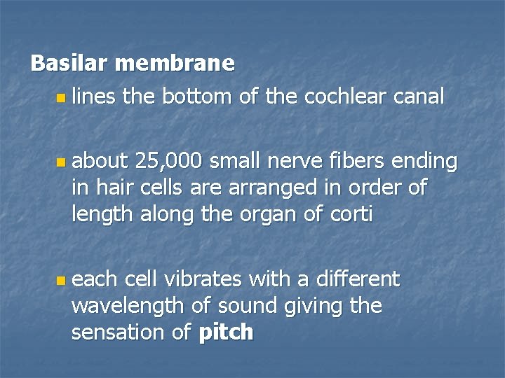 Basilar membrane n lines the bottom of the cochlear canal n about 25, 000