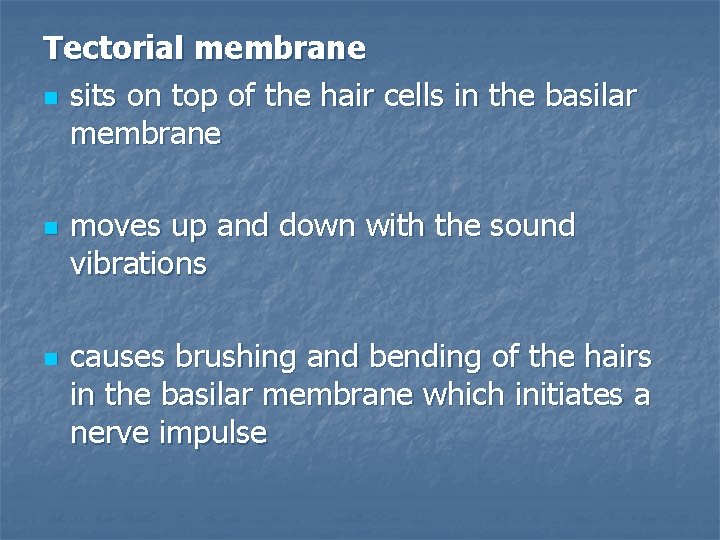 Tectorial membrane n sits on top of the hair cells in the basilar membrane