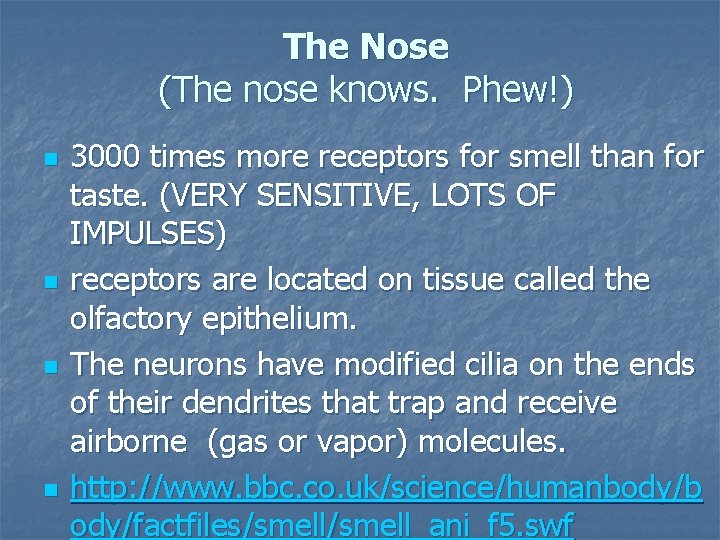 The Nose (The nose knows. Phew!) n n 3000 times more receptors for smell