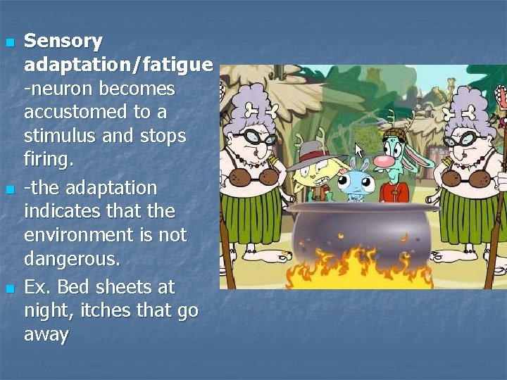 n n n Sensory adaptation/fatigue -neuron becomes accustomed to a stimulus and stops firing.