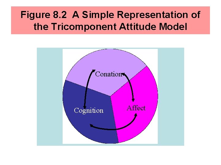 Figure 8. 2 A Simple Representation of the Tricomponent Attitude Model Conation Cognition Affect