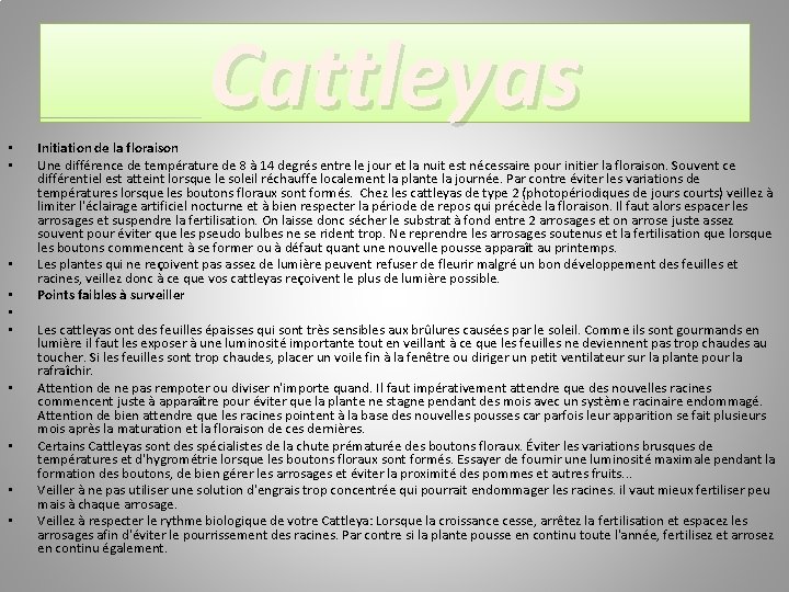 Cattleyas • • • Initiation de la floraison Une différence de température de 8