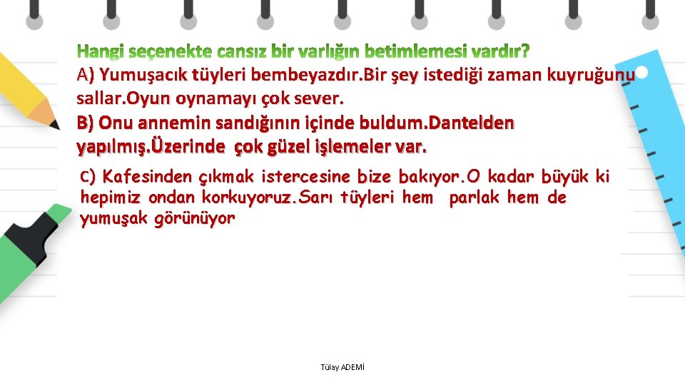 A) Yumuşacık tüyleri bembeyazdır. Bir şey istediği zaman kuyruğunu sallar. Oyun oynamayı çok sever.