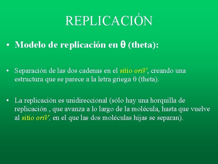 REPLICACIÓN • Modelo de replicación en (theta): • Separación de las dos cadenas en REPLICACIÓN • Modelo de replicación en (theta): • Separación de las dos cadenas en