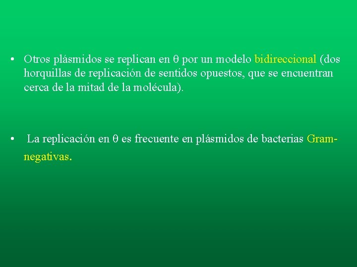 • Otros plásmidos se replican en por un modelo bidireccional (dos horquillas de • Otros plásmidos se replican en por un modelo bidireccional (dos horquillas de