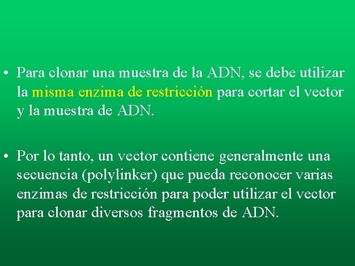 • Para clonar una muestra de la ADN, se debe utilizar la misma • Para clonar una muestra de la ADN, se debe utilizar la misma