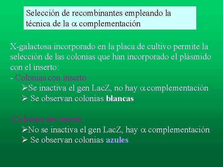 Selección de recombinantes empleando la técnica de la a complementación X-galactosa incorporado en la Selección de recombinantes empleando la técnica de la a complementación X-galactosa incorporado en la