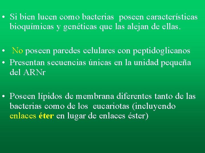 • Si bien lucen como bacterias poseen características bioquímicas y genéticas que las • Si bien lucen como bacterias poseen características bioquímicas y genéticas que las