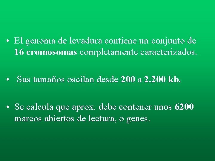 • El genoma de levadura contiene un conjunto de 16 cromosomas completamente caracterizados. • El genoma de levadura contiene un conjunto de 16 cromosomas completamente caracterizados.