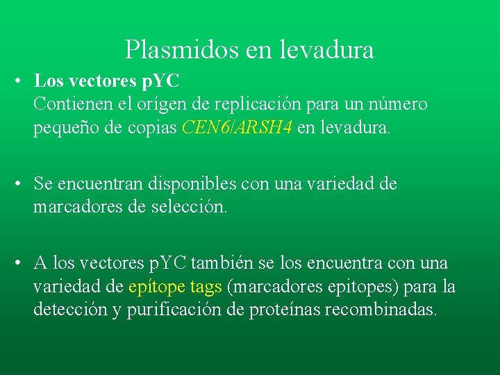 Plasmidos en levadura • Los vectores p. YC Contienen el orígen de replicación para Plasmidos en levadura • Los vectores p. YC Contienen el orígen de replicación para