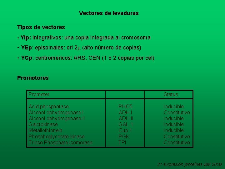 Vectores de levaduras Tipos de vectores • YIp: integrativos: una copia integrada al cromosoma Vectores de levaduras Tipos de vectores • YIp: integrativos: una copia integrada al cromosoma