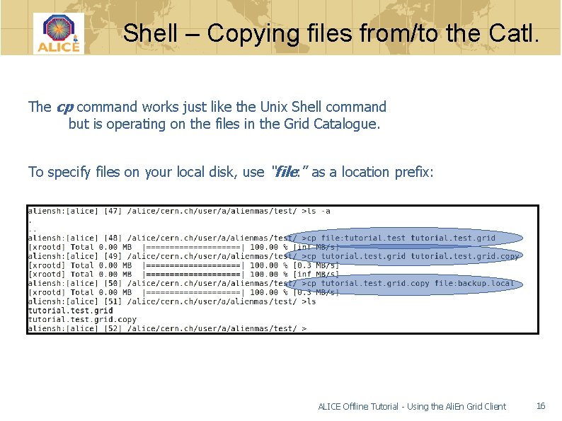 Shell – Copying files from/to the Catl. The cp command works just like the