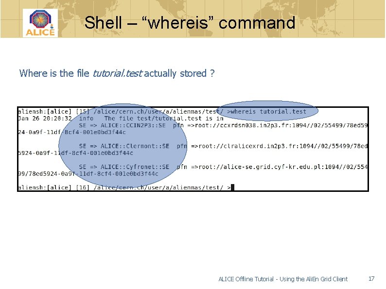 Shell – “whereis” command Where is the file tutorial. test actually stored ? ALICE